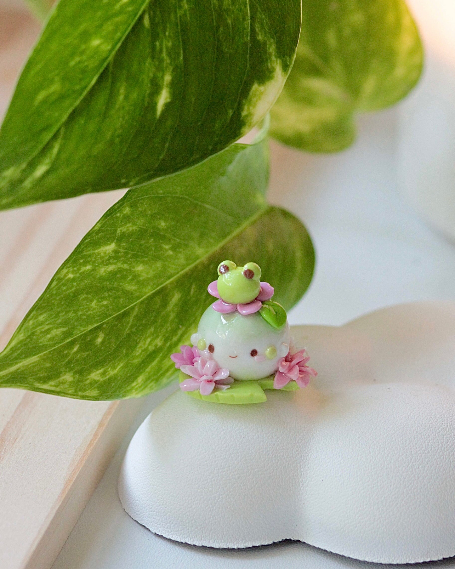 Frog 🐸 buddy Pinky