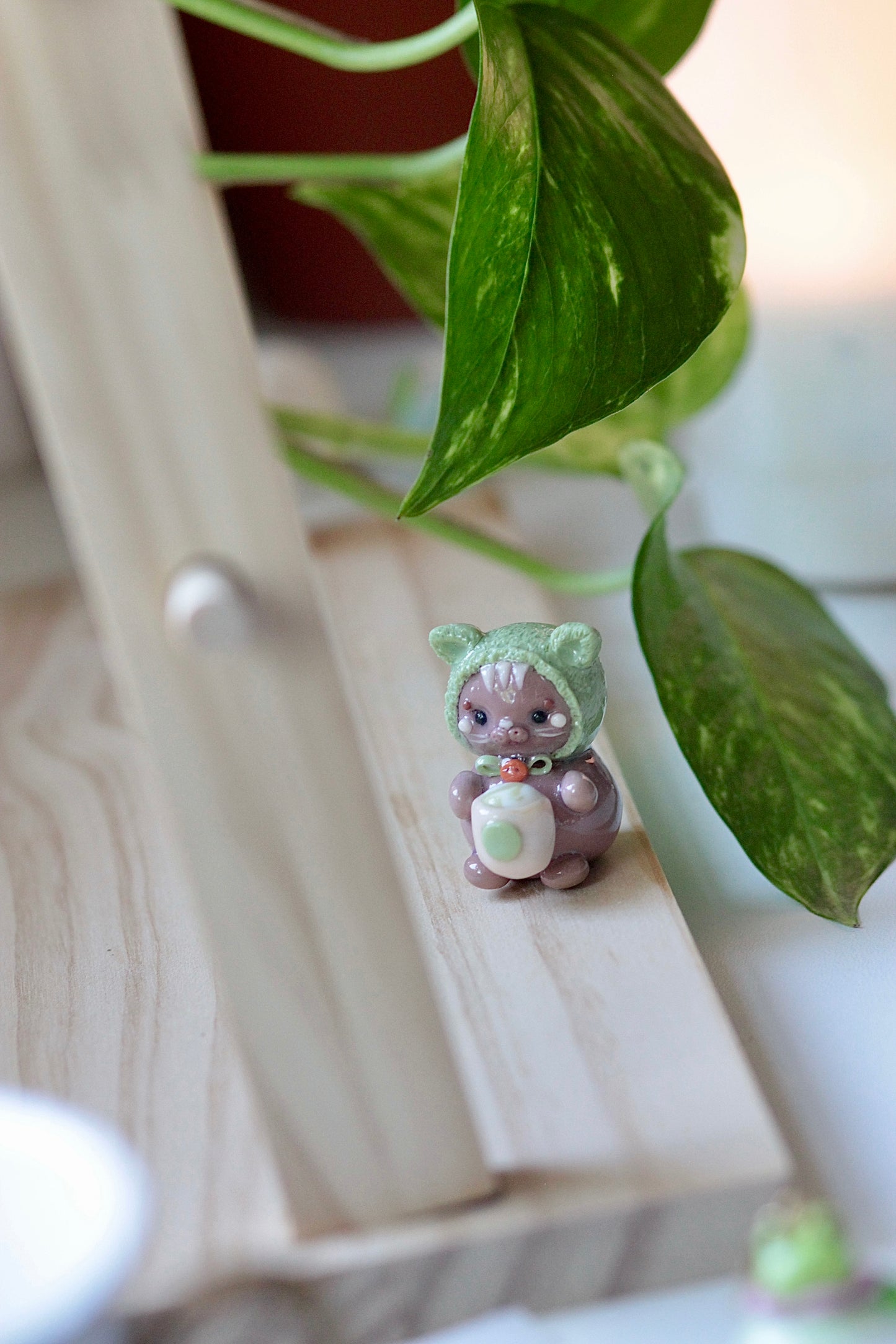 Matcha cat 🍵