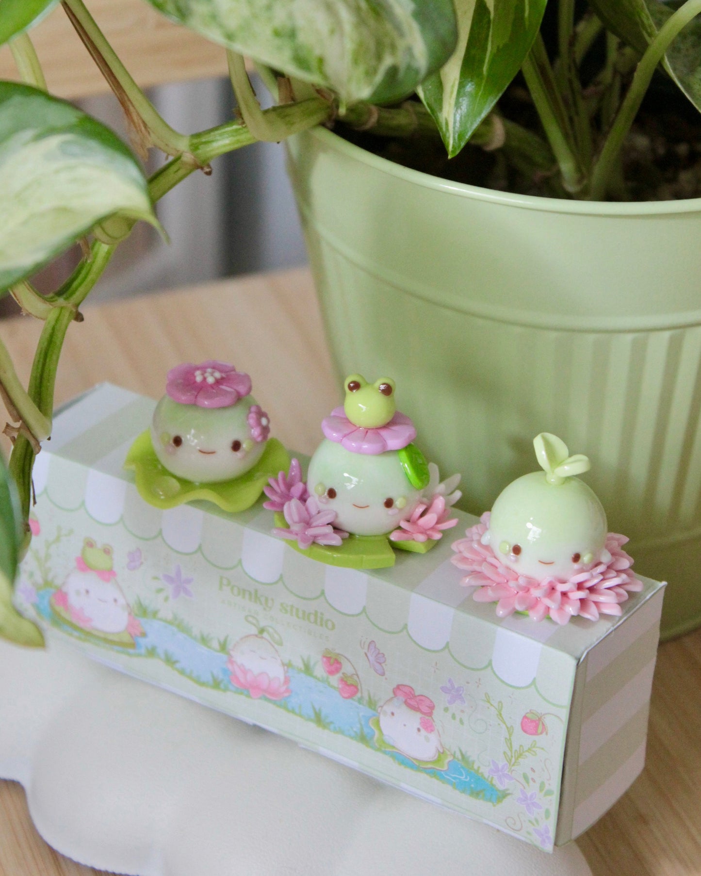 Frog 🐸 buddy Pinky