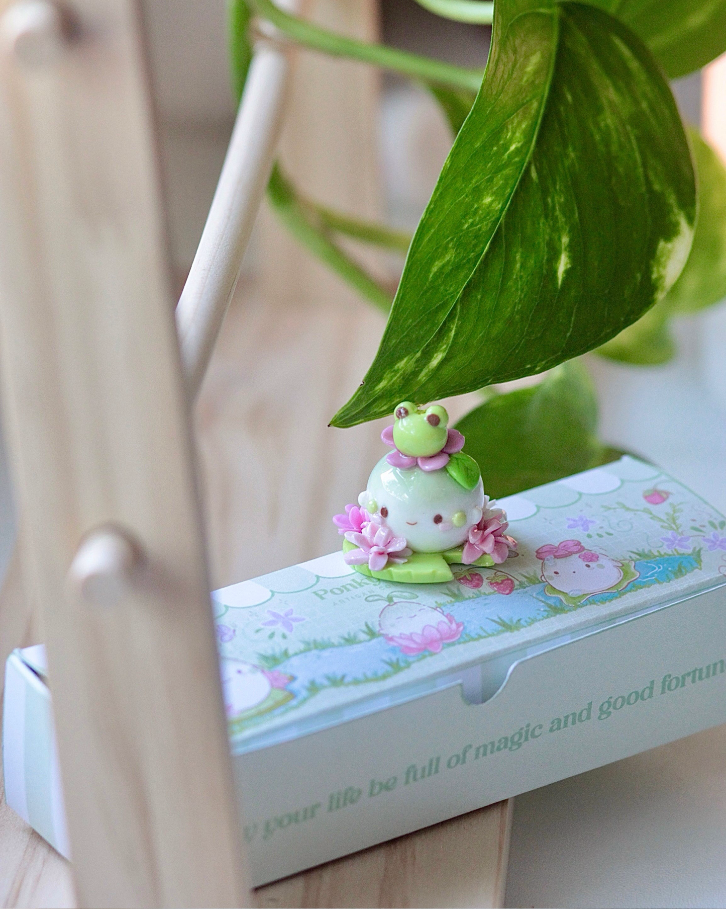 Frog 🐸 buddy Pinky