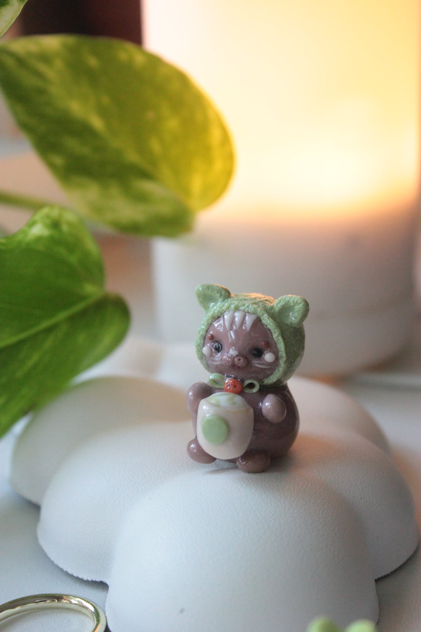 Matcha cat 🍵