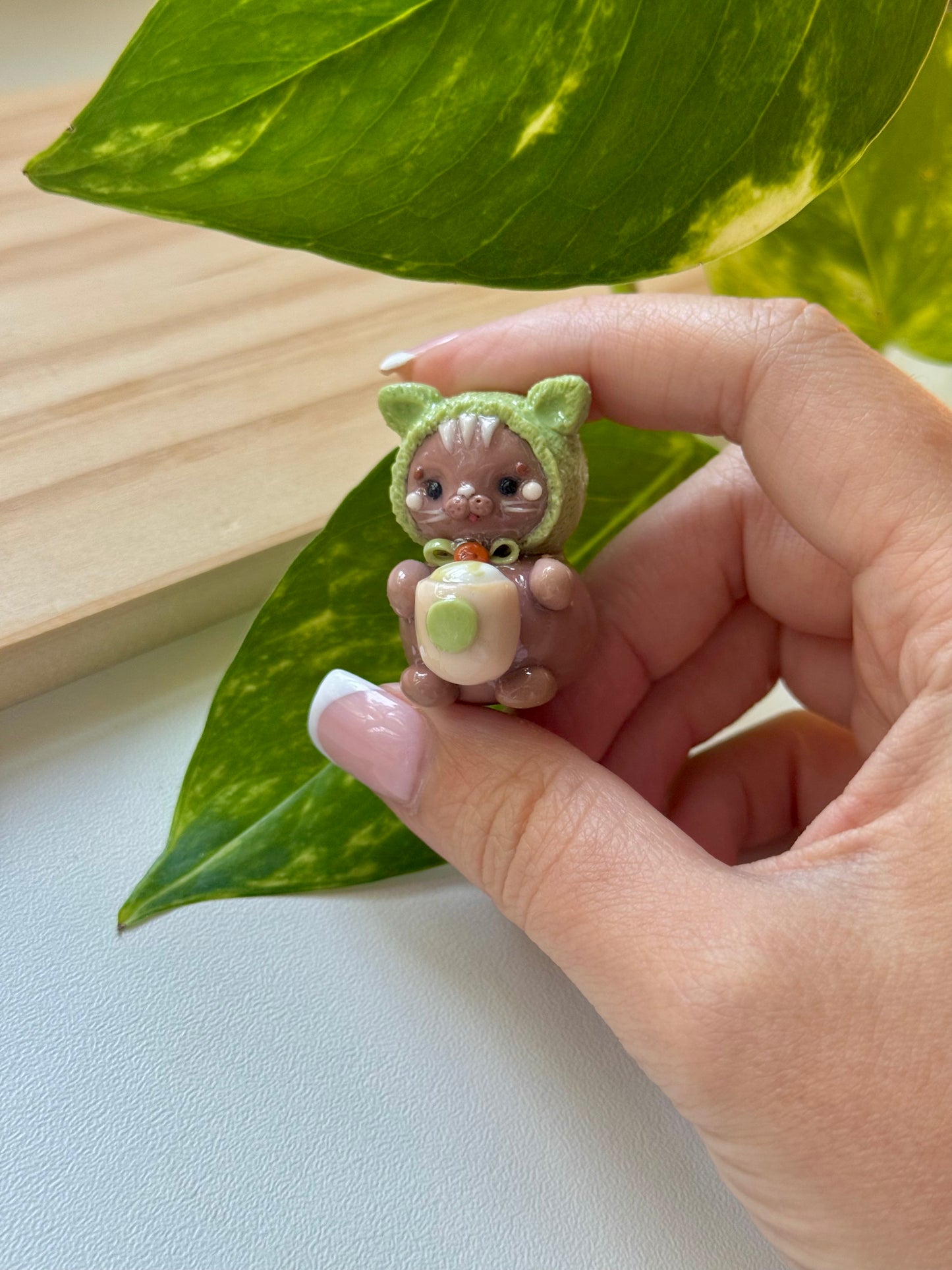 Matcha cat 🍵